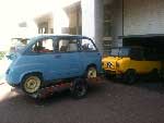 Multipla Tiger